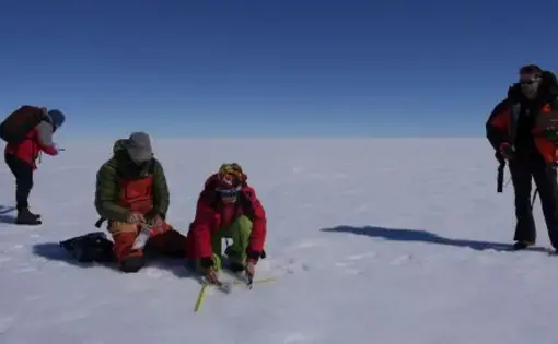 Scientists take measurements on the surface of the Greenland ice sheet. Image by Eli Kintisch.