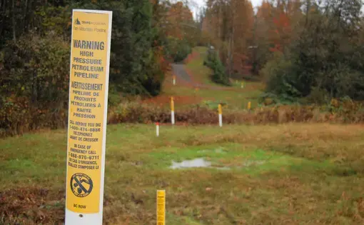 Yellow signs mark the path of the Trans Mountain pipeline. Image by Megan O'Toole. Canada, 2019.