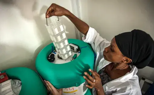 Arktek containers, which kept Ebola vaccines at –80°C in sub-Saharan Africa, could be used to transport COVID-19 vaccines that require similar temperatures. Image courtesy of World Health Organization.