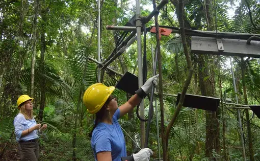 Tana Wood and Aura Alonso-Rodriguez clear leaves off warming plot's heaters . Image by by Daniel Grossman. Puerto Rico, 2016.