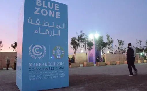 Optimism turned to worry after delegates at COP22 absorbed news of Donald Trump's victory. Image by Dan Grossman. Morocco, 2016.