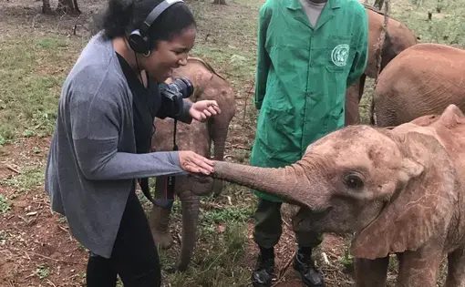 Janelle Richards greets elephants at the David Sheldrick Wildlife Trust. Image by Thomas Gathoni. Kenya, 2017.