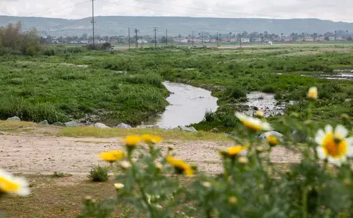 A tributary near the U.S.-Mexico border where sewage from Tijuana flows through. Image by Adriana Heldiz. United States, undated.