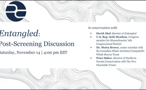 Entangled film screening and discussion