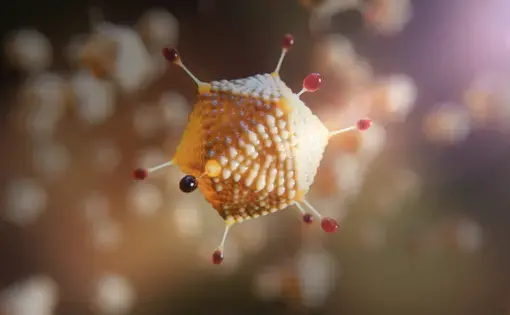 Artist illustration of adenovirus used in a COVID-19 vaccine from AstraZeneca and University of Oxford. Illustration courtesy of AstraZeneca.