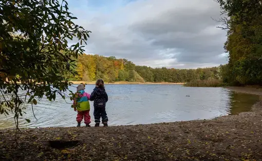Two children observe a lake in the Grunewald, a public forest in western Berlin, Germany, on Oct. 24. The children attend Waldkita Fila, a forest preschool, which focuses on free play and exploration in nature. Image by Ryan Delaney. Germany, 2020.