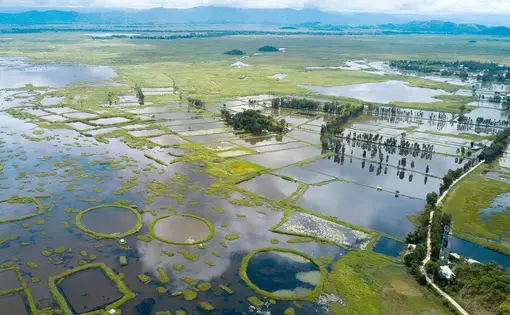 A view of the areas around Loktak Lake that are inundated by floodwaters. Image by Neeta Satam. India, 2017.