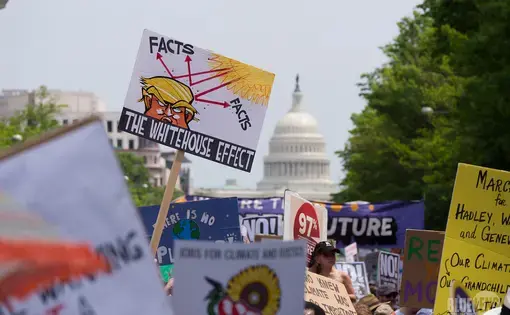 2017 DC Climate March. Image by Mark Dixon. Washington DC, 2017. (CC BY 2.0)