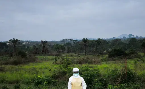 Image by Carl Gierstorfer. Bong County, Liberia, Winter 2014/2015. Media file: picture_ssd-1.jpg