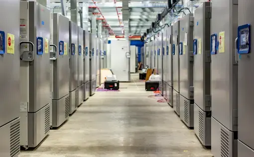Pfizer has constructed this freezer “farm” in Kalamazoo, Michigan, to store its COVID-19 vaccine at temperatures below –70°C. Image courtesy of Pfizer. United States, 2020.