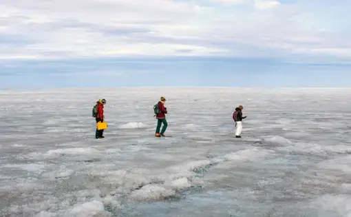 The Greenland ice sheet holds enough water to raise sea levels roughly 23 feet if it were to melt completely. On a recent research trip, students Rosie Leone, Aidan Stansberry and Ian MacDowell used radar to map the bed of rock and soil below the ice sheet to figure out how parts of the ice sheet may move toward the ocean. Image by Amy Martin. Greenland, 2018.