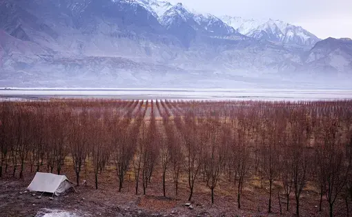 Project Page image. Image by Sarah Caron. Pakistan, 2018.