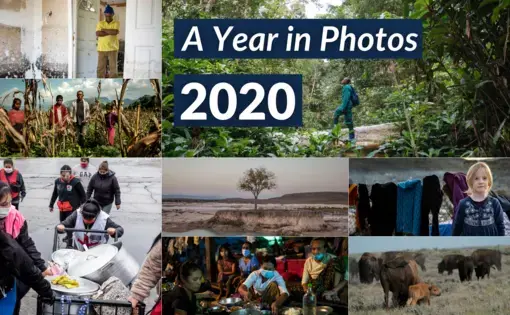 2020: A Year in Photos