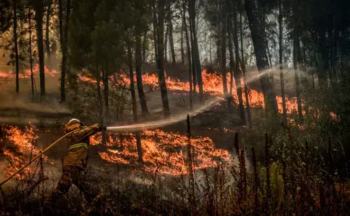 A firefighter tries to extinguish a wildfire in the village of Casais de Sao Bento in Macao in central Portugal. Image by Patricia De Melo/ AFP via Getty Images. Portugal, 2017.