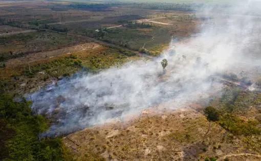 A burning field in the Beng Per Wildlife Sanctuary, in northern Cambodia. Beng Per is a sanctuary in name only as most of the land has been sold by the government for agricultural concessions and rubber plantations. Image by Sean Gallagher. Cambodia, 2020.