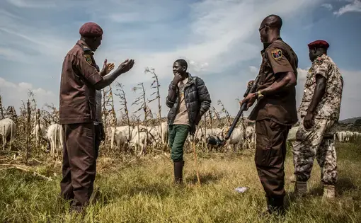 Members of the Barkin Ladi division of the Vigilante Groups of Nigeria urge a young herder in October to keep his animals off farmland with crops in Barkin Ladi, Nigeria. Vigilantes here are volunteer peacekeepers. Image by Jane Hahn. Nigeria, 2018.