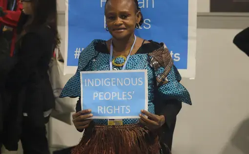 Dorothee Lisenga, coordinator of the Coalition des Femmes Leaders por l’Environnement et le Development Durable (CFLEDD). Image by Fredrick Mugira. Poland, 2018.