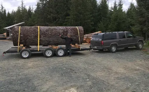 Kurt Welser in front of a spruce log before slicing it into premium-quality planks for home-built biplanes. Image by Daniel Grossman. United States, 2019.