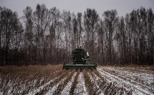 Jewish Autonomous Region. A soybean farm in early November. As the planet continues to warm, vast new stretches of Russia will become suitable for agriculture. Image by Sergey Ponomarev. Russia, 2020.
