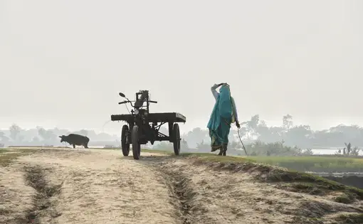 In Khulna, the Polder 32 area. Image by Tanmoy Bhaduri. Bangladesh, 2017.