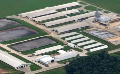 The Wiese Brothers dairy farm in Greenleaf in Brown County is in the lower Fox River watershed. It is one of the largest dairy operations in the state. DNR figures show 6,000 milking and dry cows, in addition to other cattle. Image by Mark Hoffman. United States, 2019.