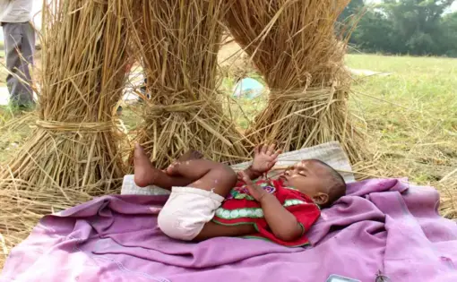 Still image courtesy Roger Thurow. India, 2015.