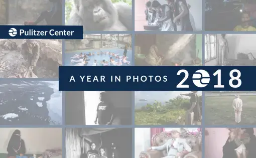 A Year in Photos 2018. Graphic designed by Karena Phan.