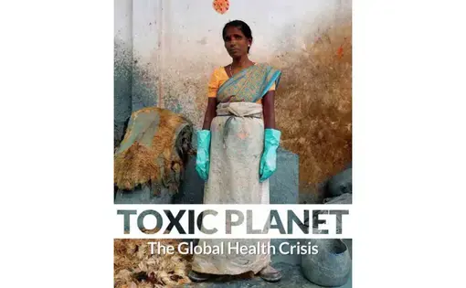 Women pluck hair by hand from goat hides soaked in an alkaline solution to loosen the fibers. This woman protects herself with gloves and a sheet of plastic wrapped around her sari as she works at a tannery outside Vaniyambad in the Vellore district of Tamil Nadu. Image by Larry C. Price. India, 2016.