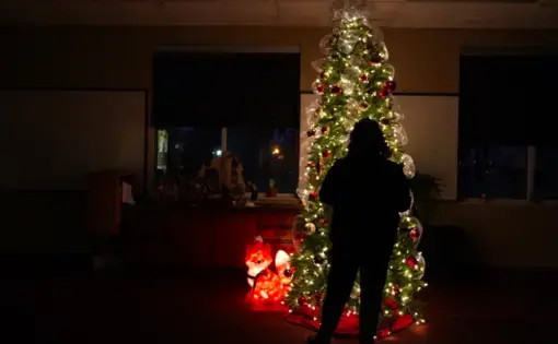 A Memphis victim of domestic violence stands in the glow of a Christmas tree in a Mid-South shelter. She escaped her abuser but is isolated from family over the holidays. Severe cases of domestic violence are on the rise during the pandemic. Image by Karen Pulfer Focht/Special to Daily Memphian. United States, 2020.