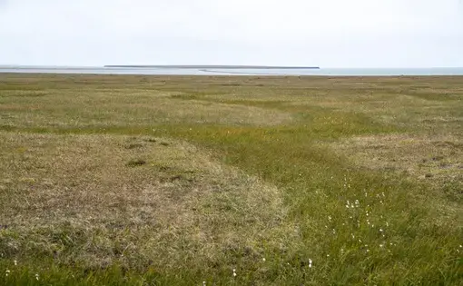 The coastal plain of the Arctic National Wildlife Refuge. Image by Nick Mott. United States, 2019.