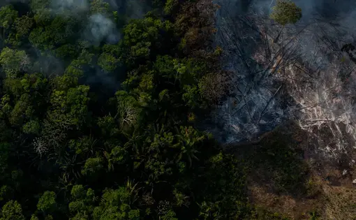 Image by Flavio Forner. Brazil, 2019. Image by Flavio Forner. Brazil, 2019.
