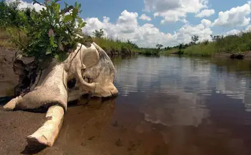 Media file: 169.jpg