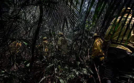 ICMBio brigadiers risk their own lives by entering the Tapajós National Forest in search of forest fires. Image by Flavio Forner. Brazil, 2020.