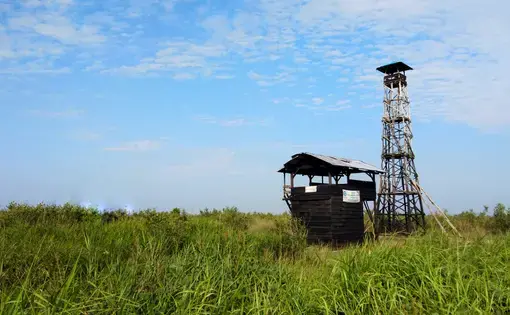 Fire tower guarding over peatland. Image by Slamet Mulyadi/Shutterstock. Indonesia, 2019. Fire tower guarding over peatland. Image by Slamet Mulyadi/Shutterstock. Indonesia, 2019.