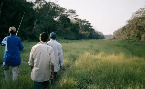 Maraca'tunsi community members walk the airstrip that enabled the San Ambrosio company in the middle of the Benyan Amazon. Image by Manuel Seoane. Bolivia, 2019.