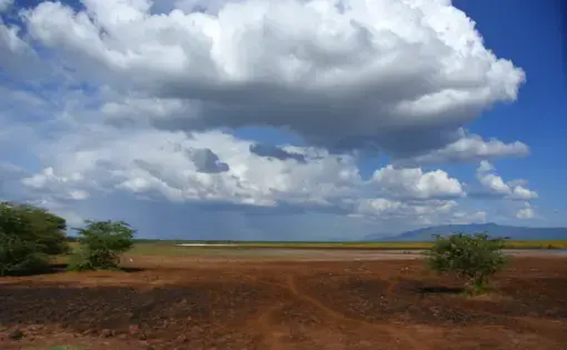 A protected area in Tanzania. Image by Shutterstock. Tanzania, Undated.