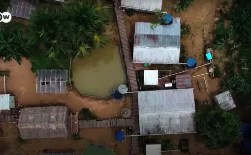 Com um passado de trabalho análogo à escravidão, ex-seringueiros se organizam e viram fornecedores importantes da indústria de cosméticos. Um exemplo de como lucrar diretamente com uma Amazônia preservada. Imagem cortesia de DW Brasil.