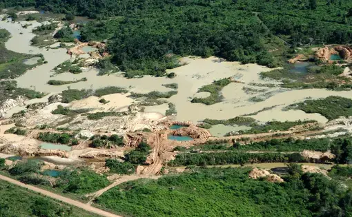 Aerial view of gold mining area in Amazon forest region in Pará. Image by Tarcisio Schnaider/Shutterstock. Brazil, date unknown.