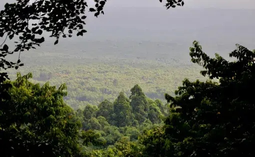 A view of the rainforest in the DRC. Image by Kiki Dohmeier / Shutterstock. Democratic Republic of the Congo, undated.