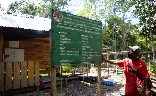 Upaya untuk mengurangi ketergantungan masyarakat terhadap hasil hutan, terutama kayu, salah satunya dengan bantuan program Rehabilitasi Hutan dan Lahan (RHL).