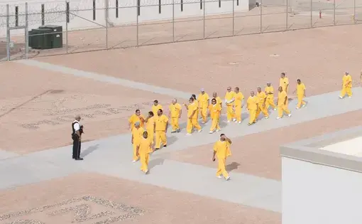 Exploring the legacy of slavery in mass incarceration