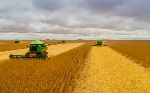 Positioning of agricultural machinery during the soybean harvest in Chapadão do Sul, Mato Grosso do Sul. Image by Shutterstock. Brazil, February 27, 2020.