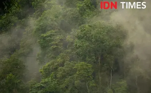Photo by Dhana Kencana/IDN Times. Indonesia, 2020.