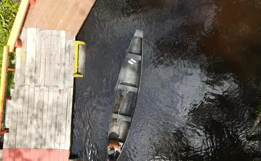 Photo of an igarapé, a large stream that serves as the lifeblood for so many quilombola communities in the Amazon region as a source for food and water and medium of transport.