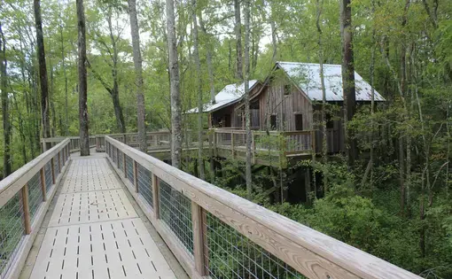 An elevated boardwalk leads to two treehouses built among the cypress canopy along the Cashie River.