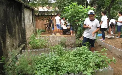 School Garden in Brazil