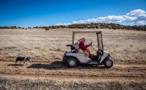 Helen Nez, driving a golf cart, looks for her sheep on her property in Blue Gap, Ariz. Image by Mary F. Calvert. United States, 2020.
