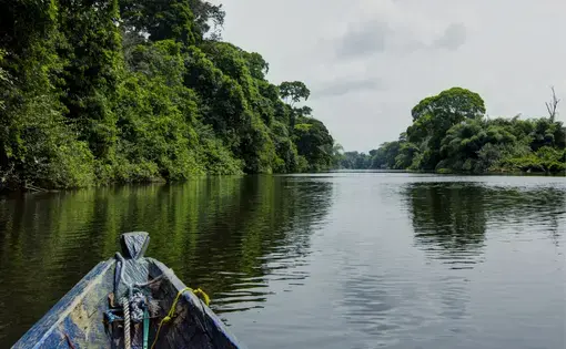 A wooden boat on a river in Cameroon.