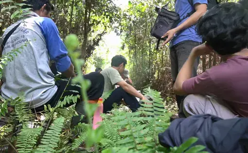 The team from the Kalibandung Village Forest Management Institute (LPHD) rests in the middle of the forest while patrolling the area