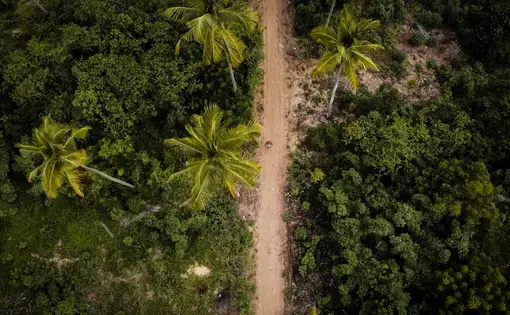 Aerial view of a pathway cutting through a forest area in Lagos.